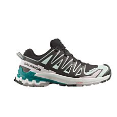 Salomon XA Pro 3D V9 GTX Multifunktionsschuh für Damen anthrazit